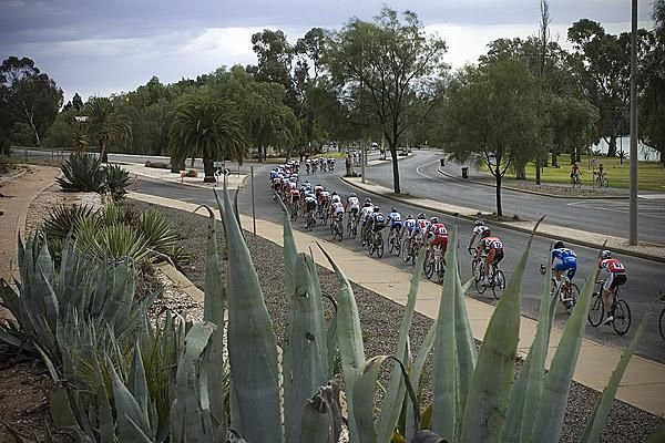 The peloton string out on the back of the 2.2 kilometre circuit in Mildura.