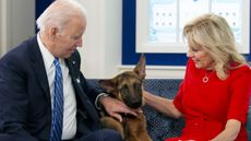 Joe and Jill Biden with their dog, called Commander