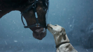 A dog nuzzles a horse in the snow in a Budweiser commercial set to premiere during this years Super Bowl 2024. 