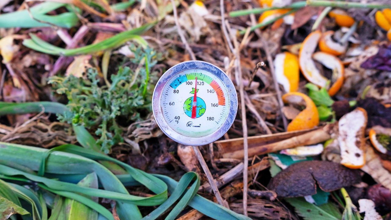 Checking the temperature of a hot composting pile