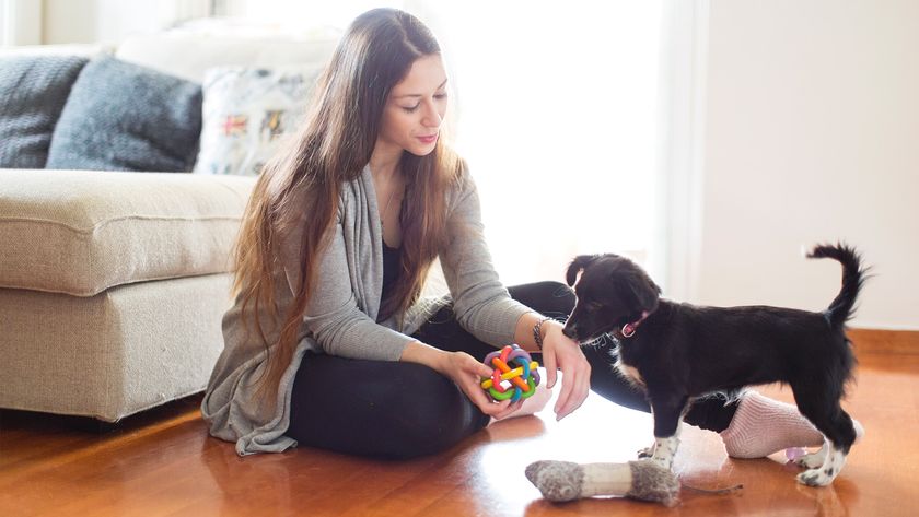 Woman playing indoors with her dog