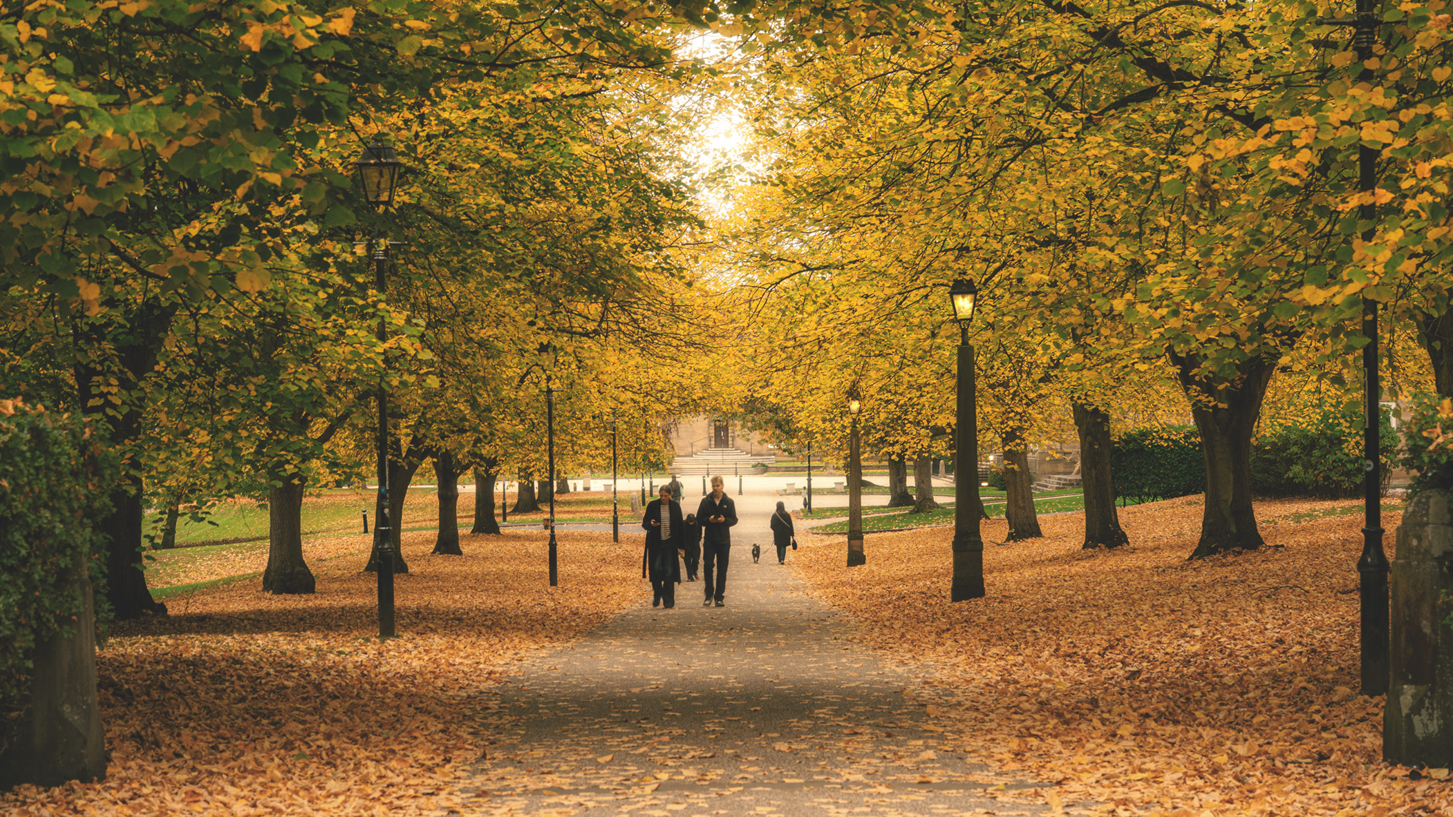 An image taken outside in natural light using a prime lens