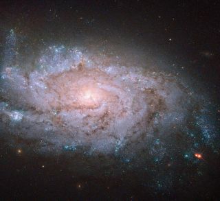 Spiral Galaxy NGC 1084