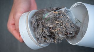 picture of vacuum filter with dirt in it