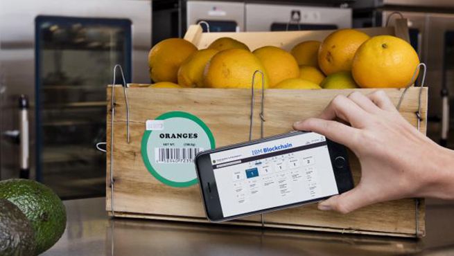 A hand using a mobile phone to scan a barcode on a box of fruit