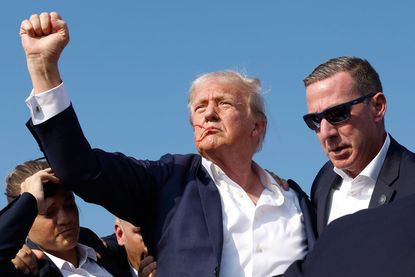 Donald Trump raises his fist in the air after being shot at a rally