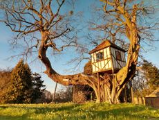 Pitchford’s 17th-century treehouse. Picture: National Garden Scheme