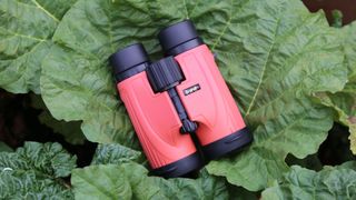 Lunt SunOculars 8x32 on a large leaf.