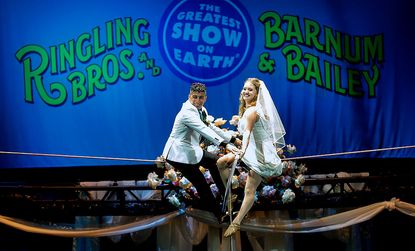High wire performers get married at Ringling Bros. Circus