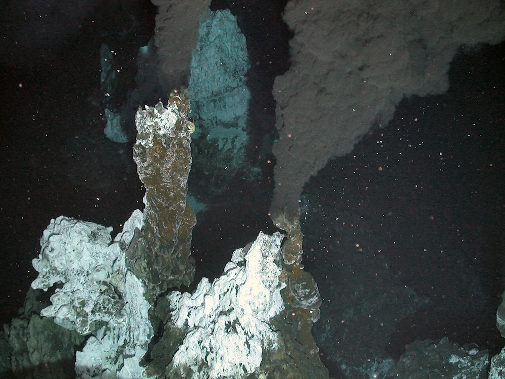 Gallery: Unique Life at Antarctic Deep-Sea Vents | Live Science