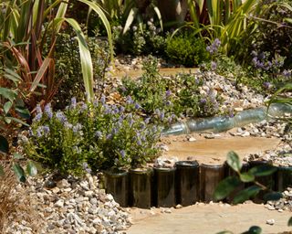 tiered sand and gravel garden with planting