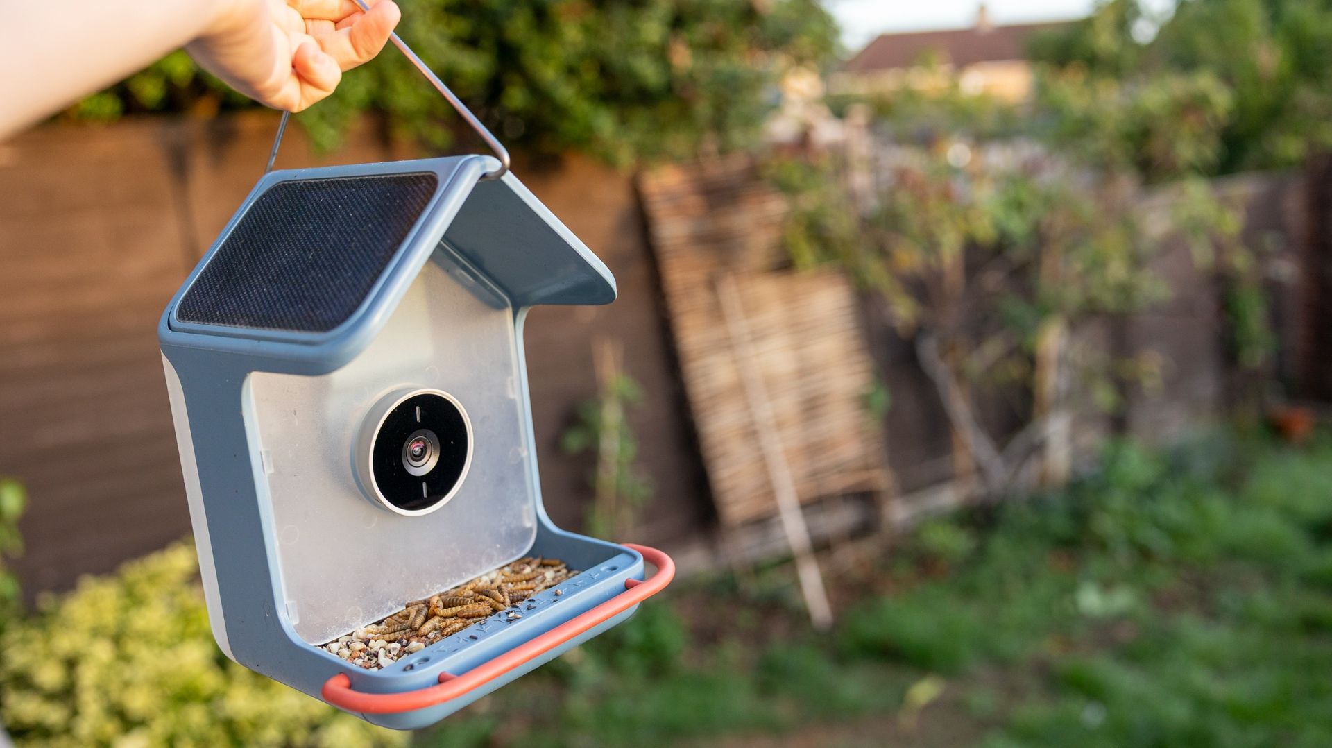 El Bird Buddy 2 sostenido en un jardín soleado