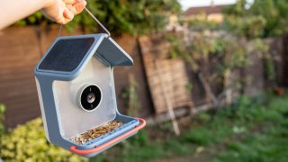 The Bird Buddy 2 held in a sunny garden