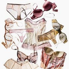 various bras panties and bustiers