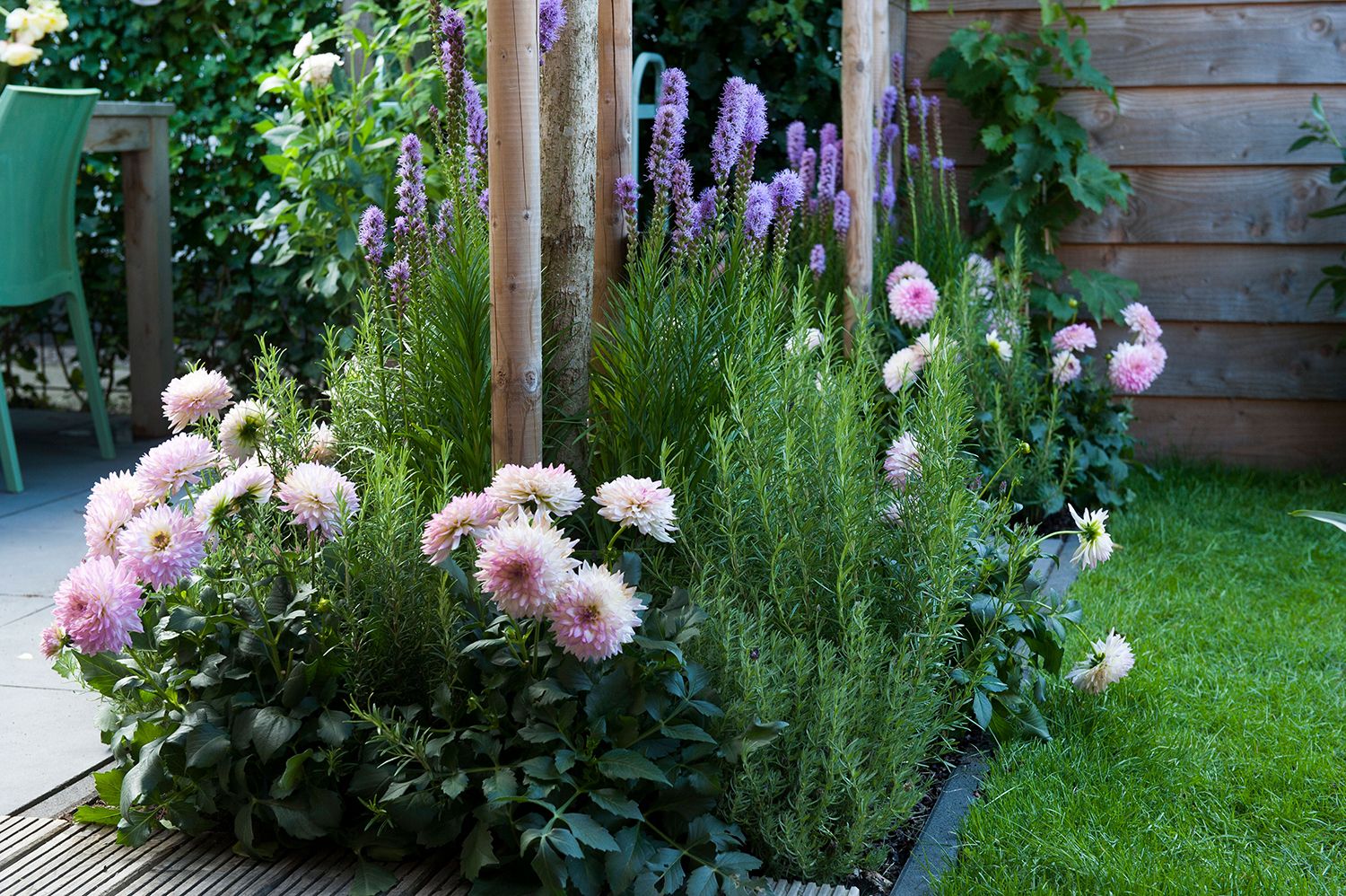 How to choose plants for your modern garden 10 designer tricks that