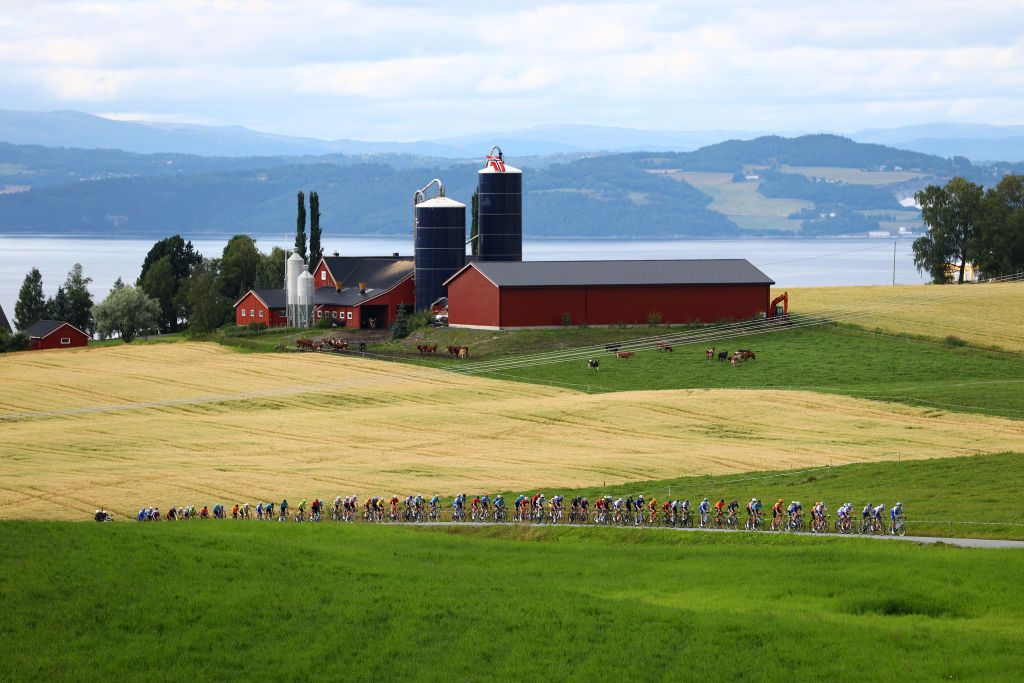 SKALLSTUGGU NORWAY AUGUST 13 Axel Zingle of France and Team Cofidis Yellow Leader Jersey and a general view of the peloton competing during the 9th Arctic Race Of Norway 2022 Stage 3 a 1777km stage from Namsos to Skallstuggu 474m ArcticRace on August 13 2022 in Skallstuggu Norway Photo by Michael SteeleGetty Images