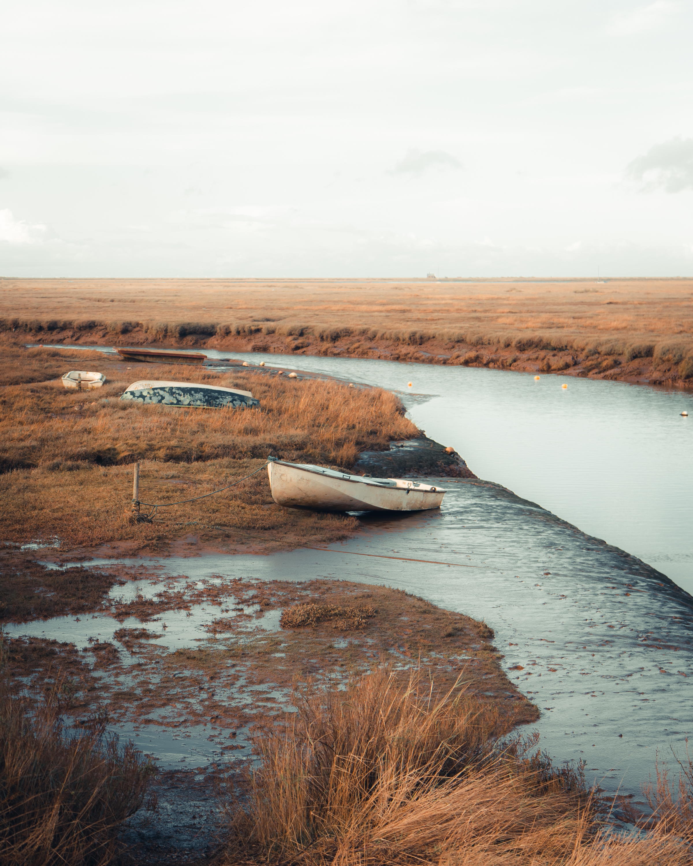 Picture of Norfolk