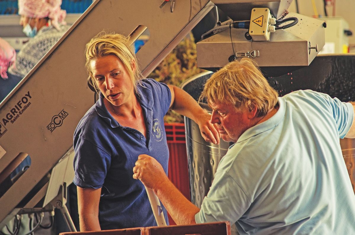 From dreams to vines: The expat winemakers bringing a fresh perspective ...