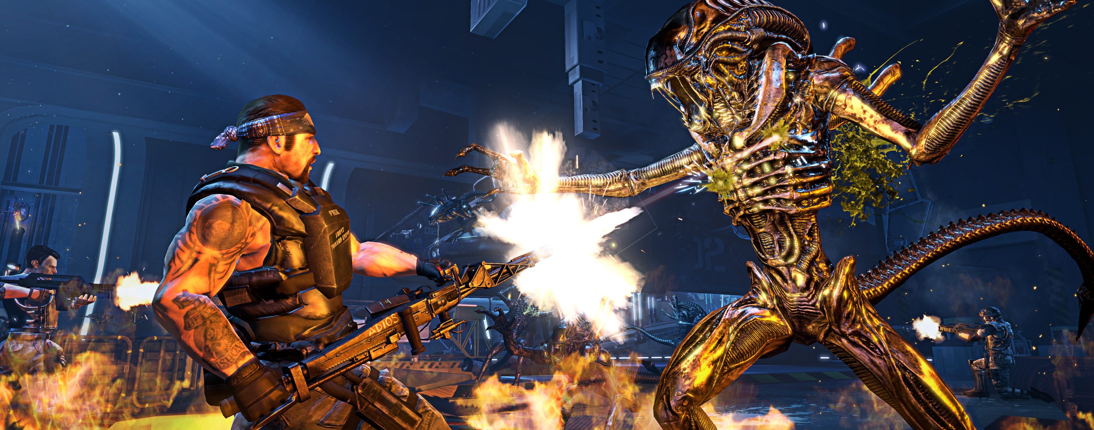 Aliens: Colonial Marines and AvP 2010 removed from Steam | PC Gamer