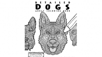 Detailed Dogs adult colouring book