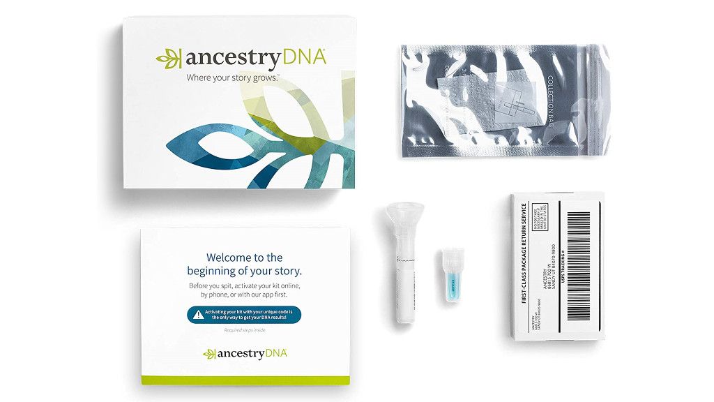 The Best DNA Test Kits 2022: Discover Your Heritage And Genetic Traits ...