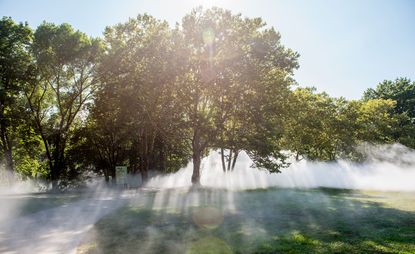 Fujiko Nakaya's Fog x Flo at Boston Emerald Necklace