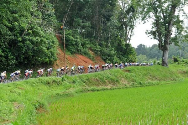 Tour de Singkarak 2012 riders in stage 2 through the rice fields in the area Kumanis, beginning the climb up to the first 50 km.