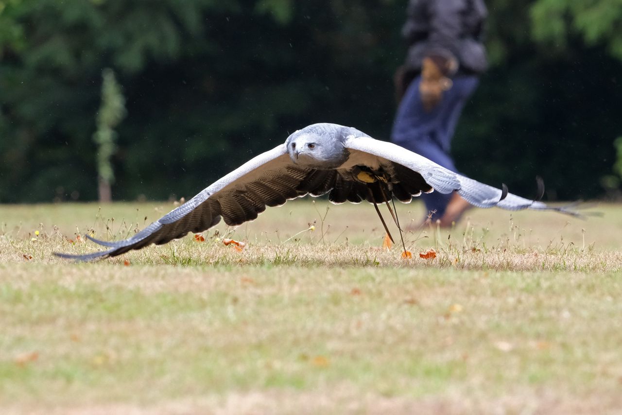 Fujifilm XF 400mm F4.5 R LM OIS WR sample image