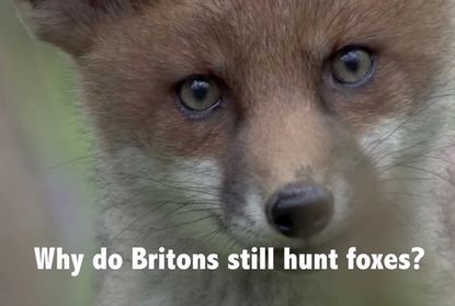 The Economist tries to explain the enduring British love of the fox hunt