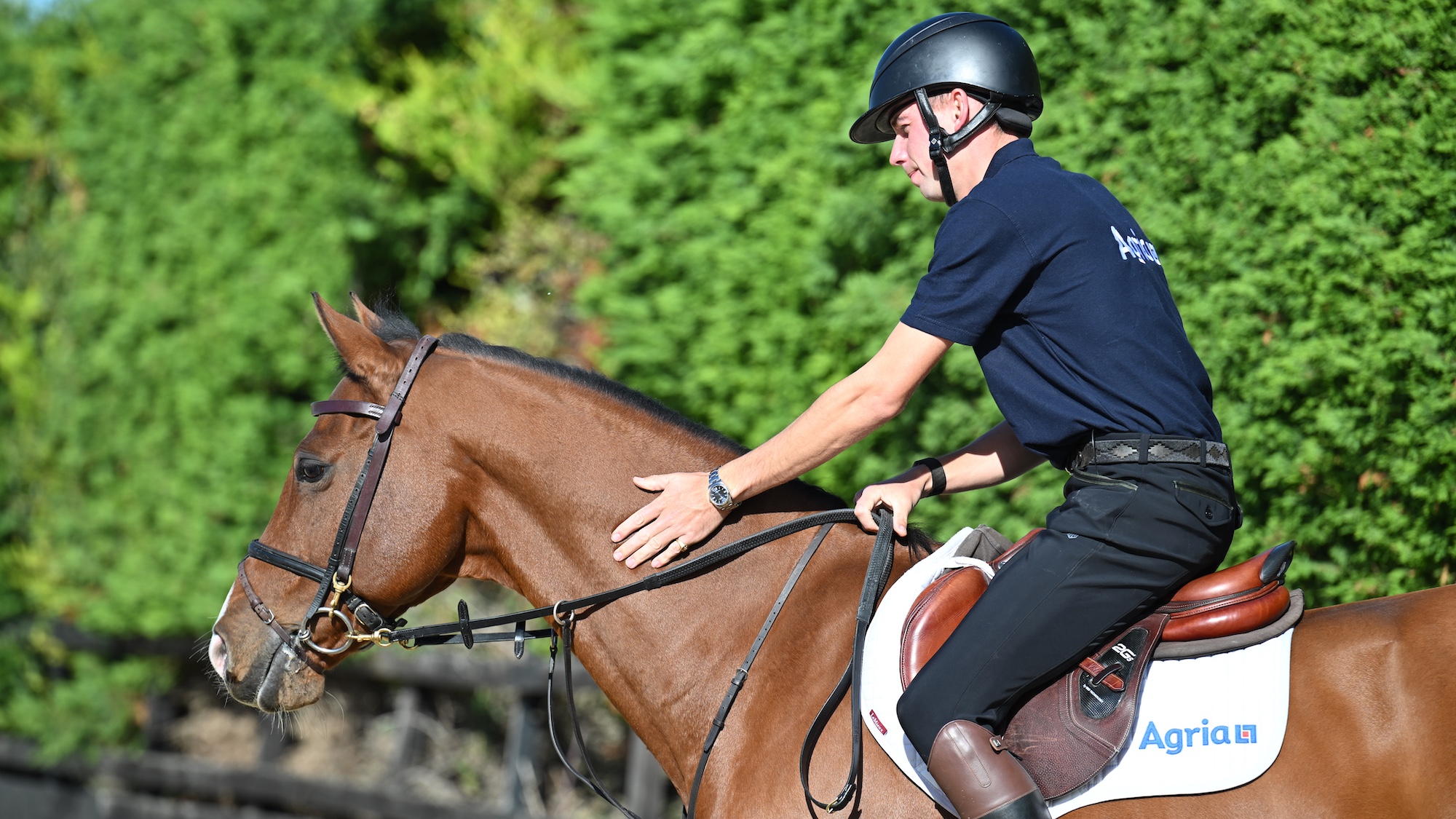 Joe Stockdale pats bay horse