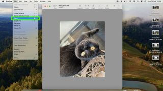 Screenshot showing how to resize an image on a macbook - save