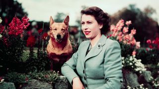 Queen Elizabeth II posing with a Corgi in 1952