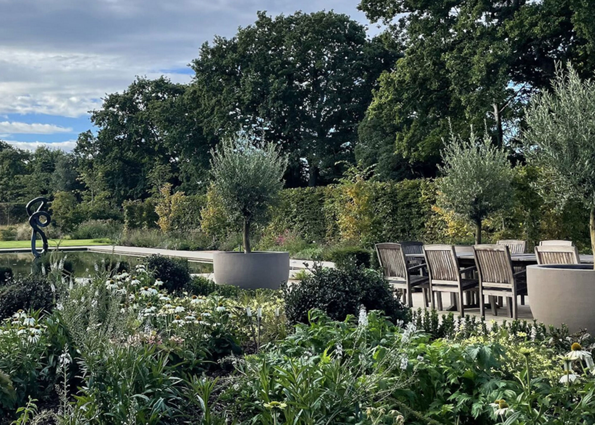 Richly planted garden with olive trees in big tubs, a modern water feature and garden furniture