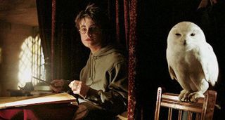 harry potter with owl