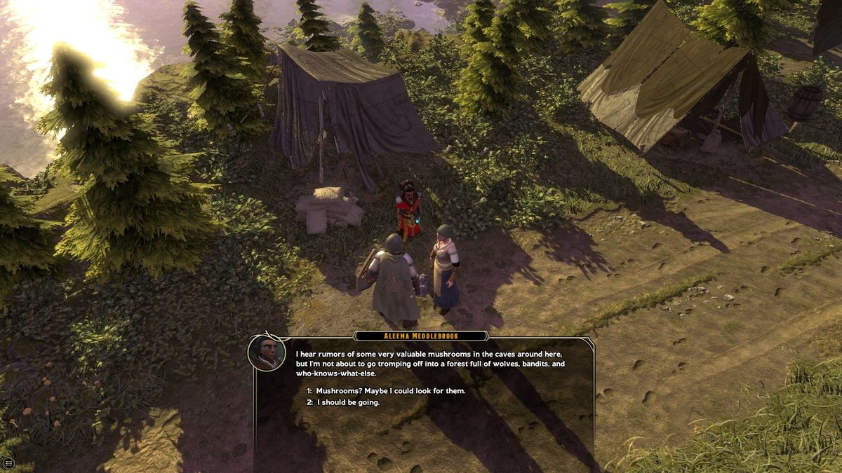 Sword Coast Legends 1