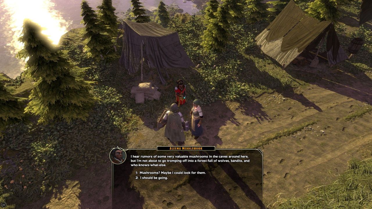 Sword Coast Legends 1