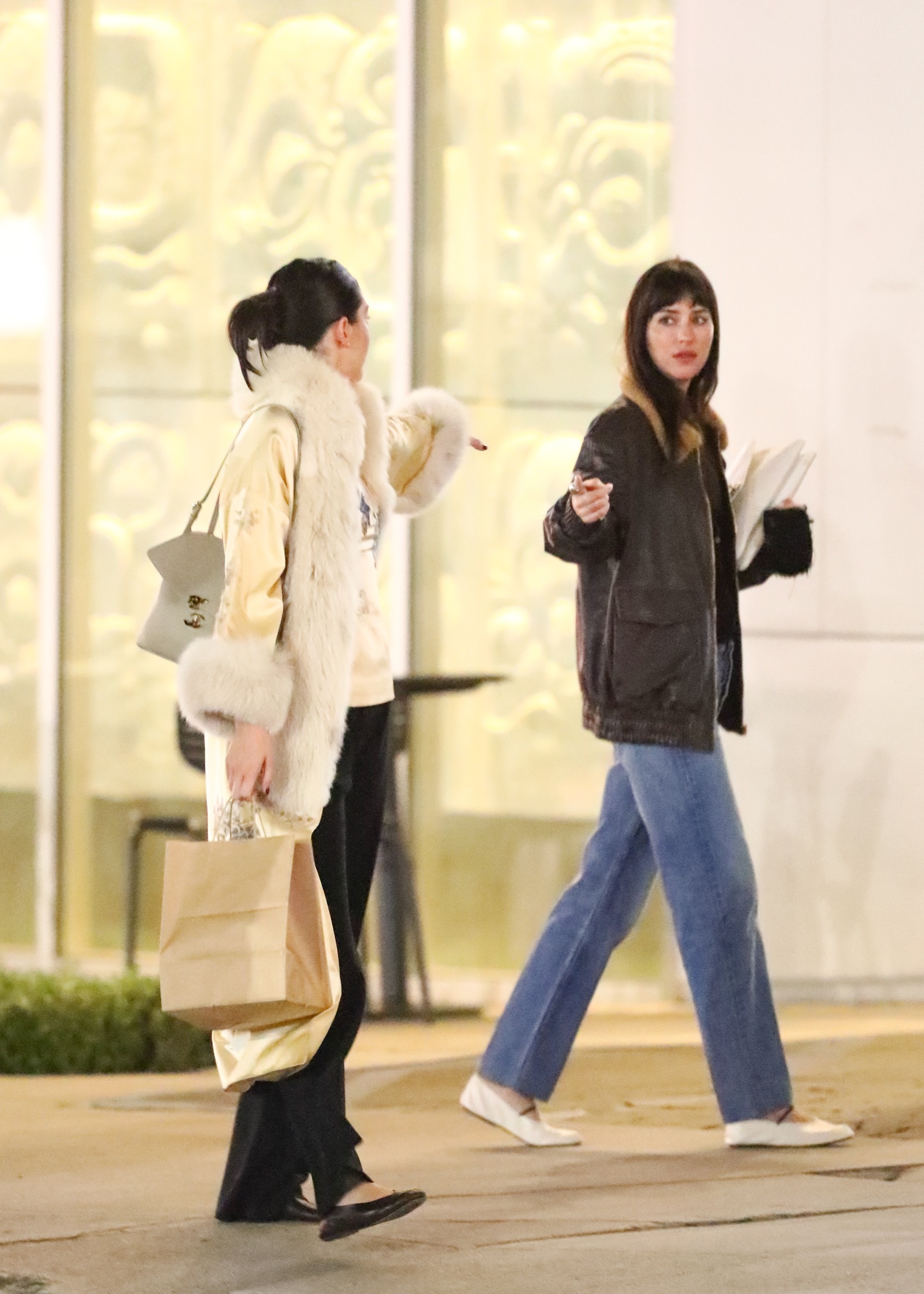 Dakota Johnson and Kendall Jenner grabbed dinner in off-duty outfits and ballet flats