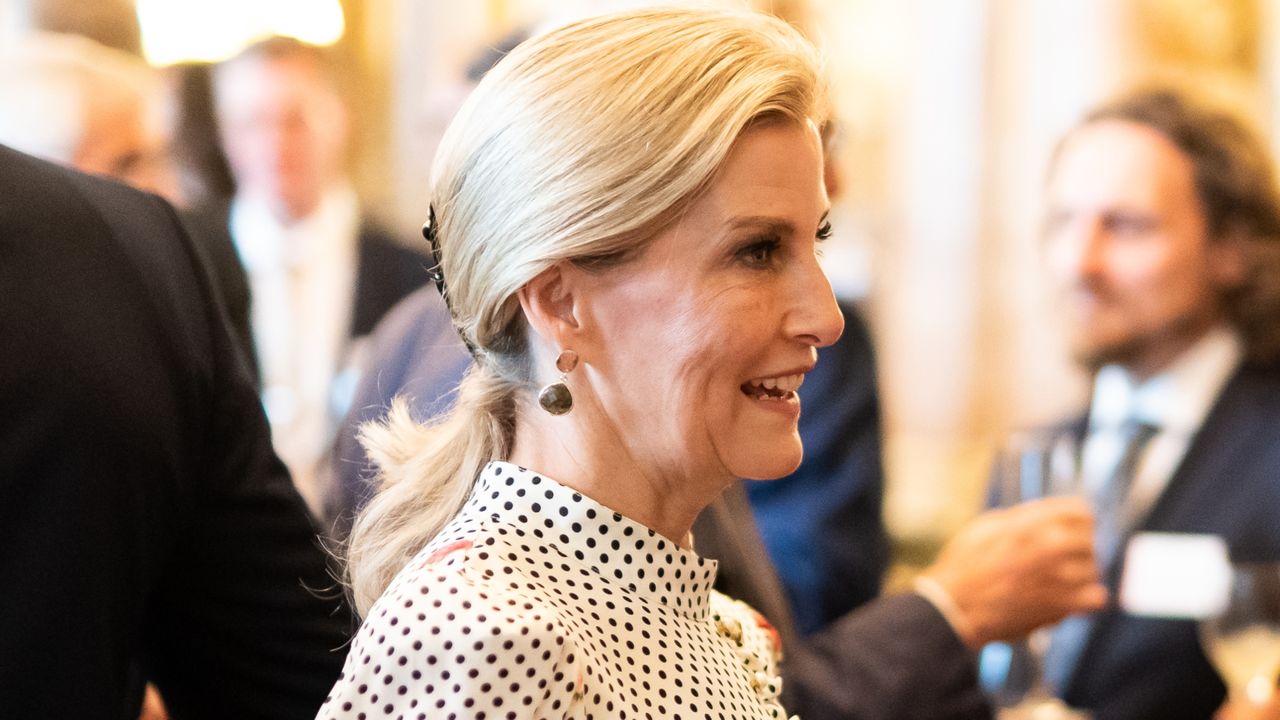 Sophie, Duchess of Edinburgh during a reception for recipients of The King&#039;s Award for Enterprise at Buckingham Palace on June 27, 2023 in London, England.