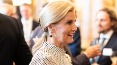 Sophie, Duchess of Edinburgh during a reception for recipients of The King's Award for Enterprise at Buckingham Palace on June 27, 2023 in London, England.