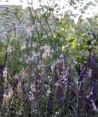 We'll welcome any weeding advice from Monty Don, especially when it comes to curing our favourite plants in time for spring