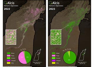 Two maps showing levels of poppy production in the Helmand province in 2022 compared to 2023.