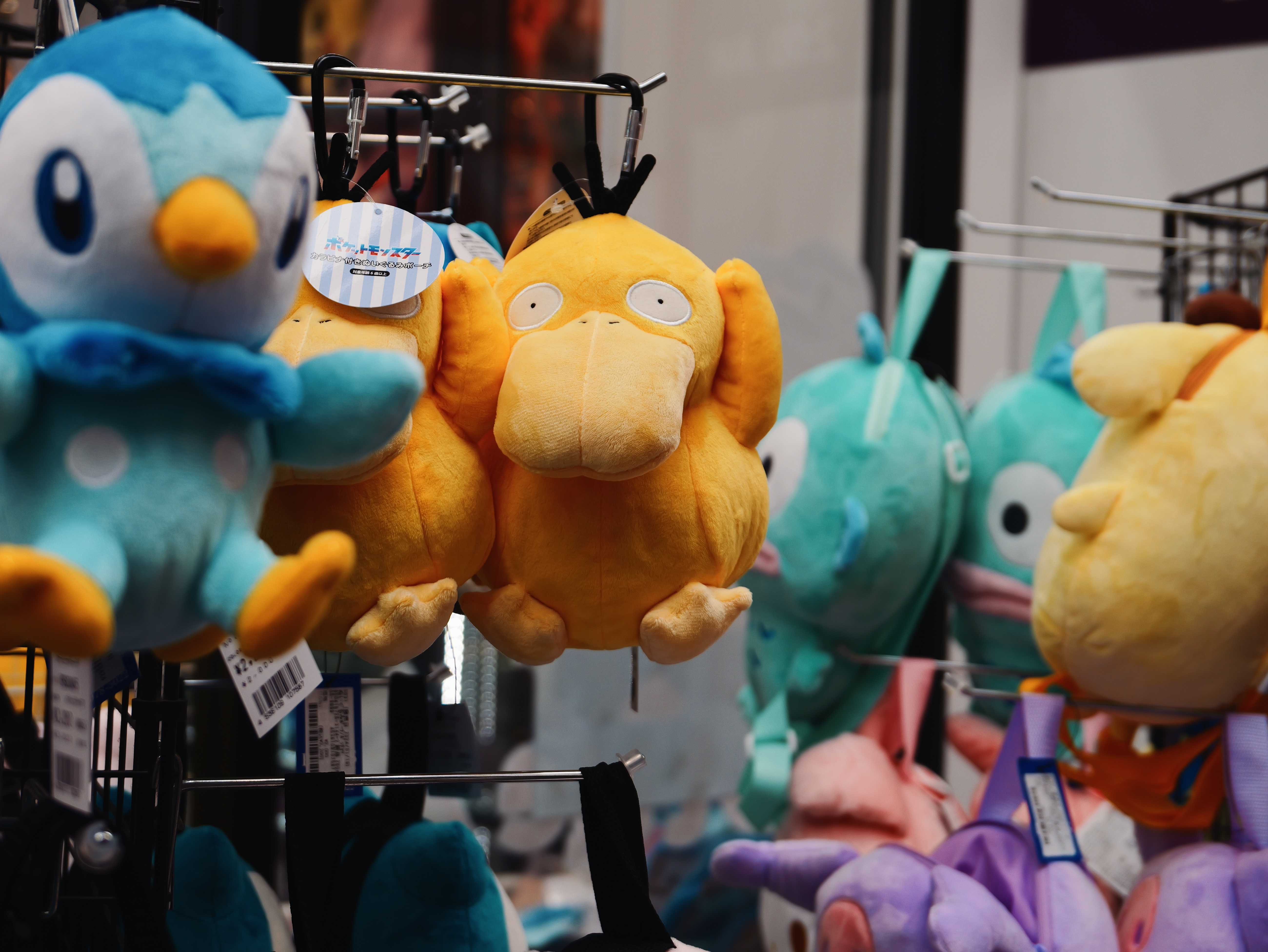 Pokémon plush toys hanging on a shop display.