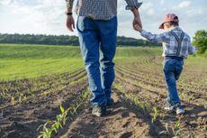 A father and son walk away from the camera on a family farm.