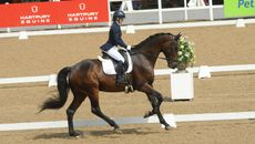 Alexandra Ratcliffe on Heaven V/h Trichelhof riding at novice level at the Winter Dressage Championships