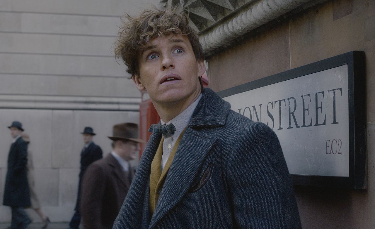 newt scamander and dumbledore