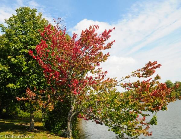 New England Foliage season is underway