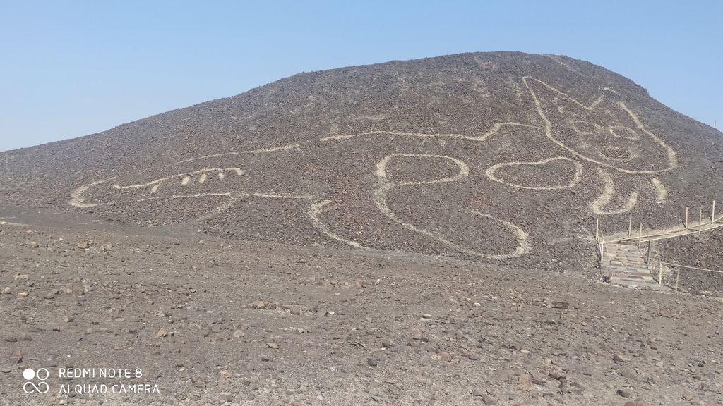 New Nazca Line Geoglyph Discovered: A 120-foot-long Cat | Live Science