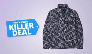 the Patagonia Lightweight Synchilla Snap-T Fleece Pullover