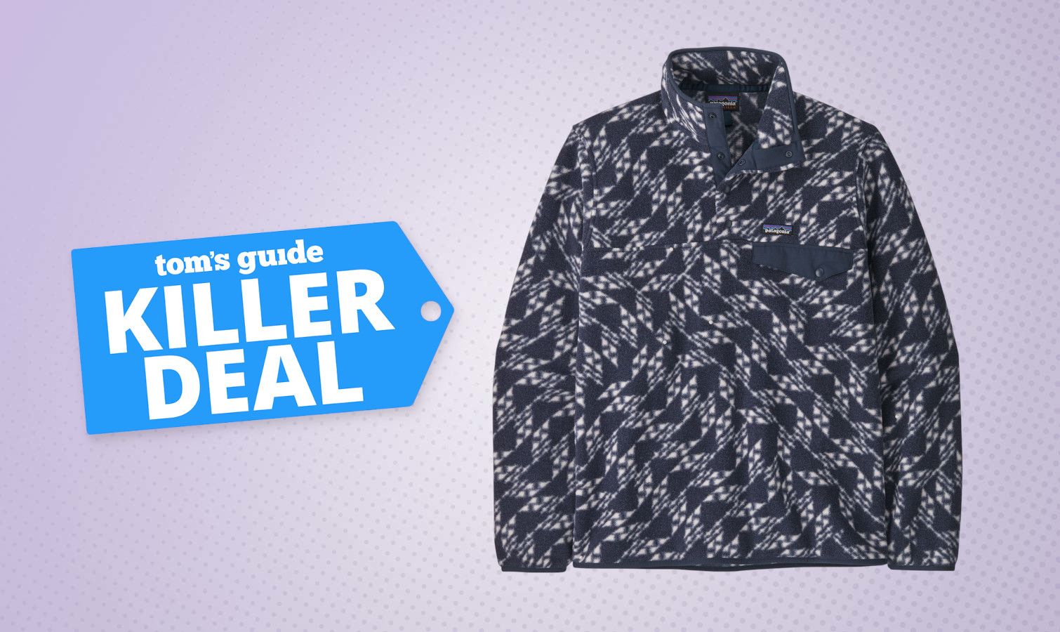 the Patagonia Lightweight Synchilla Snap-T Fleece Pullover