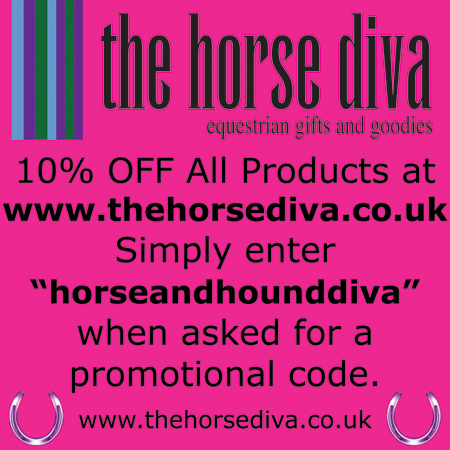 5dec-horsediva_offer.jpg